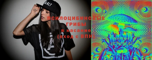 тгк Майский