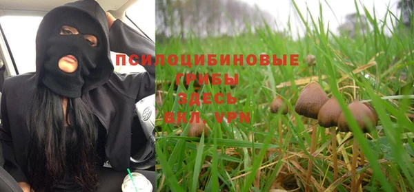 ALPHA-PVP Всеволожск