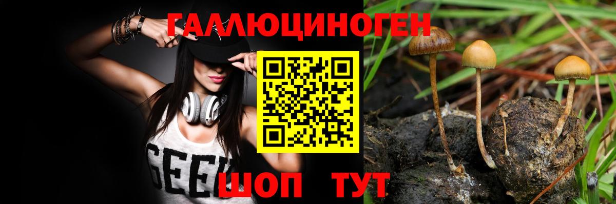 дарнет шоп  Галлюциногенные грибы мухоморы  Вход с VPN  Новотроицк 