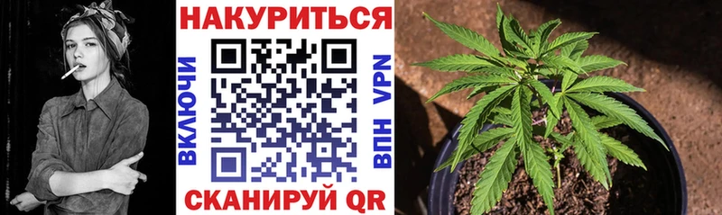 Каннабис Amnesia  наркотики  мориарти клад  Новотроицк 